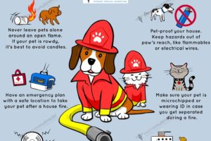 Fire Safety and Your Pets